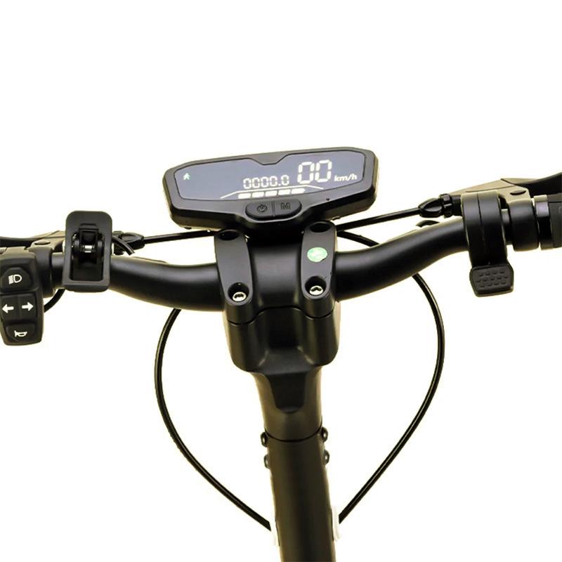 Original Smartgyro K2 Display